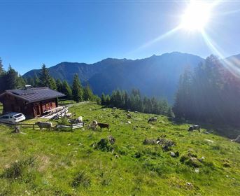Eine idyllische Berghütte in einer grünen Wiese, umgeben von Bergen. Die Sonne scheint strahlend auf die Landschaft.