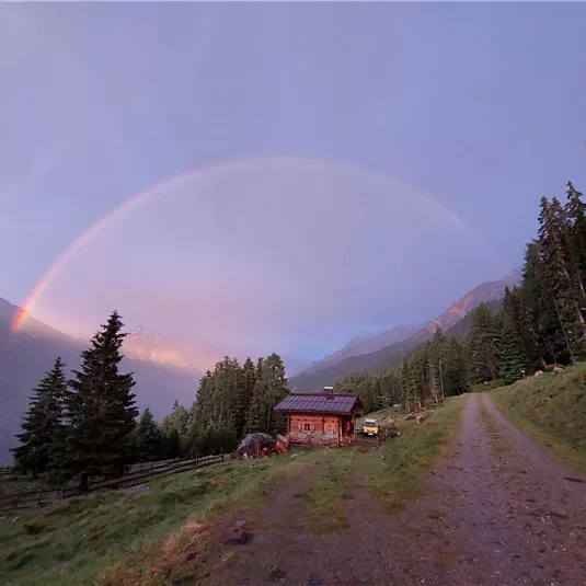 Ein malerischer Weg führt zu einer kleinen Hütte, umgeben von hohen Bäumen. Über der Landschaft spannt sich ein bunter Regenbogen.