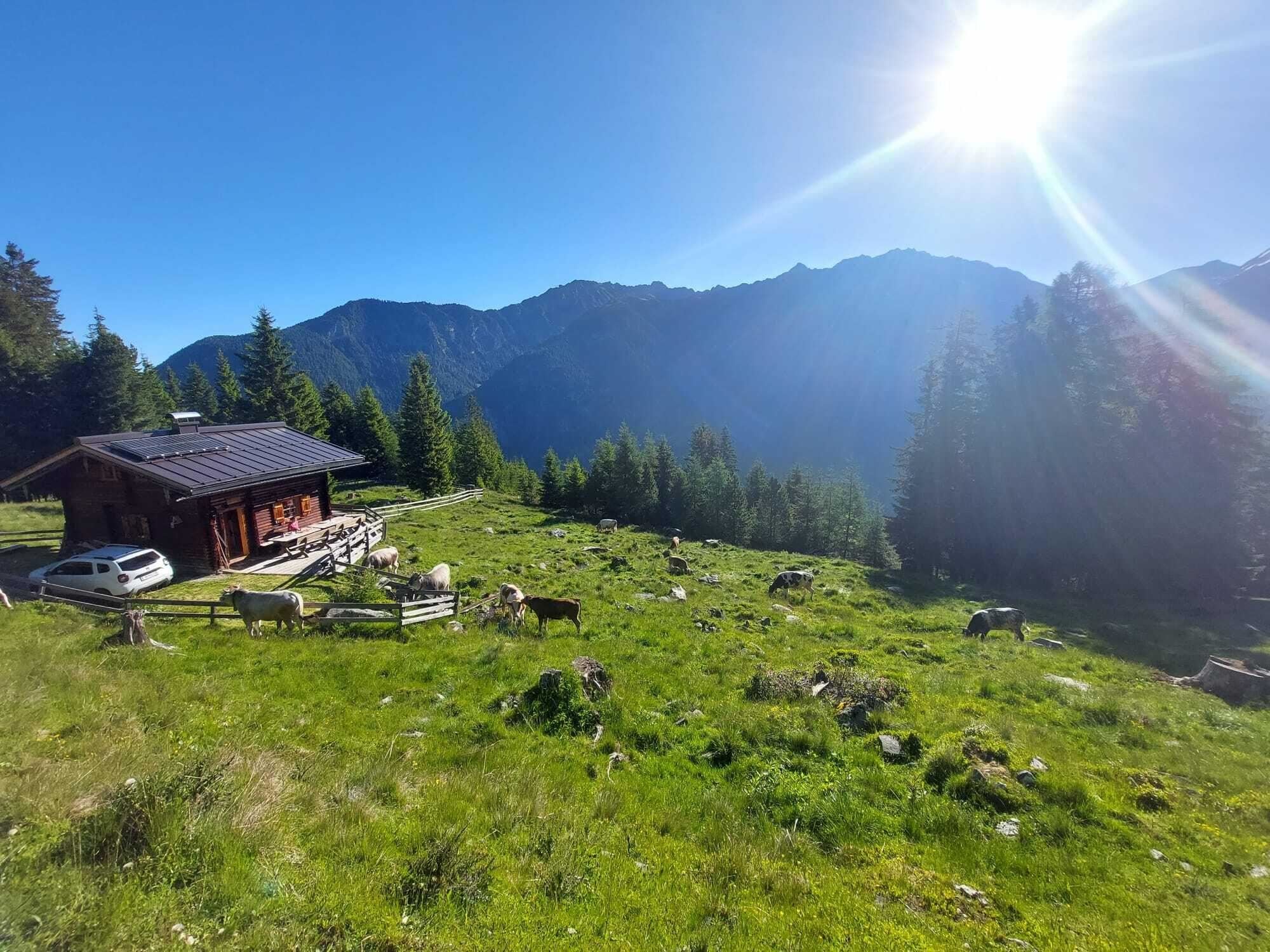 Eine idyllische Berghütte in einer grünen Wiese, umgeben von Bergen. Die Sonne scheint strahlend auf die Landschaft.