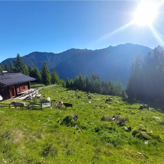 Eine idyllische Berghütte in einer grünen Wiese, umgeben von Bergen. Die Sonne scheint strahlend auf die Landschaft.