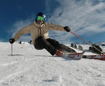 A skier is skiing over fresh snow on a sunny slope. In the background, snow-covered mountains and a blue sky are visible.