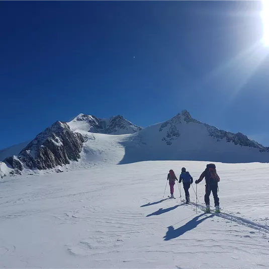 Eine Gruppe von Skitourengehern wandert durch eine verschneite Landschaft. Im Hintergrund sind schneebedeckte Berge und ein klarer blauer Himmel zu sehen.