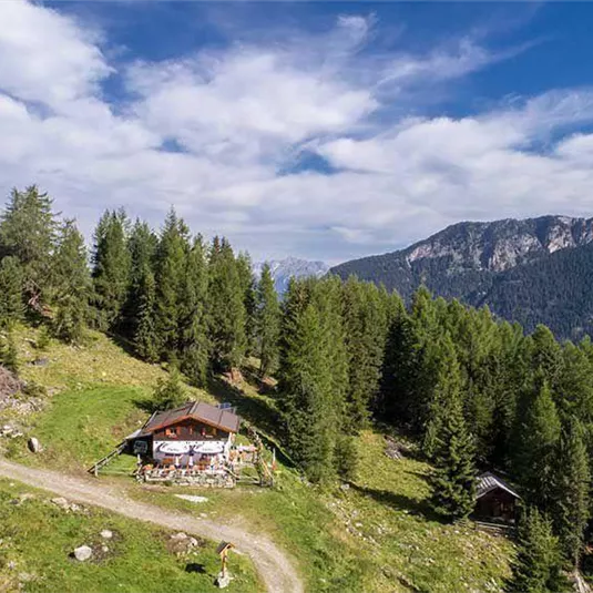 Eine gemütliche Hütte in einer grünen Berglandschaft umgeben von hohen Tannen. Im Hintergrund sind majestätische Berge unter einem teilweise bewölkten Himmel zu sehen.