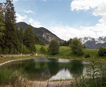 Ein ruhiger Teich umgeben von grünen Wiesen und Bäumen. Im Hintergrund sind Berge mit schneebedeckten Gipfeln zu sehen.