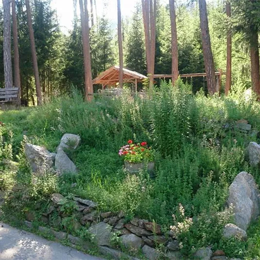 A small, nature-friendly garden with colorful flowers and stones. In the background, there are tall trees and a covered seating area.