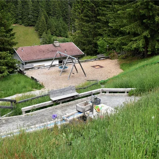 Ein Spielplatz in der Natur mit einer Schaukel und einem gemütlichen Holzhaus im Hintergrund. Umgeben von hohen Bäumen und grünen Wiesen.