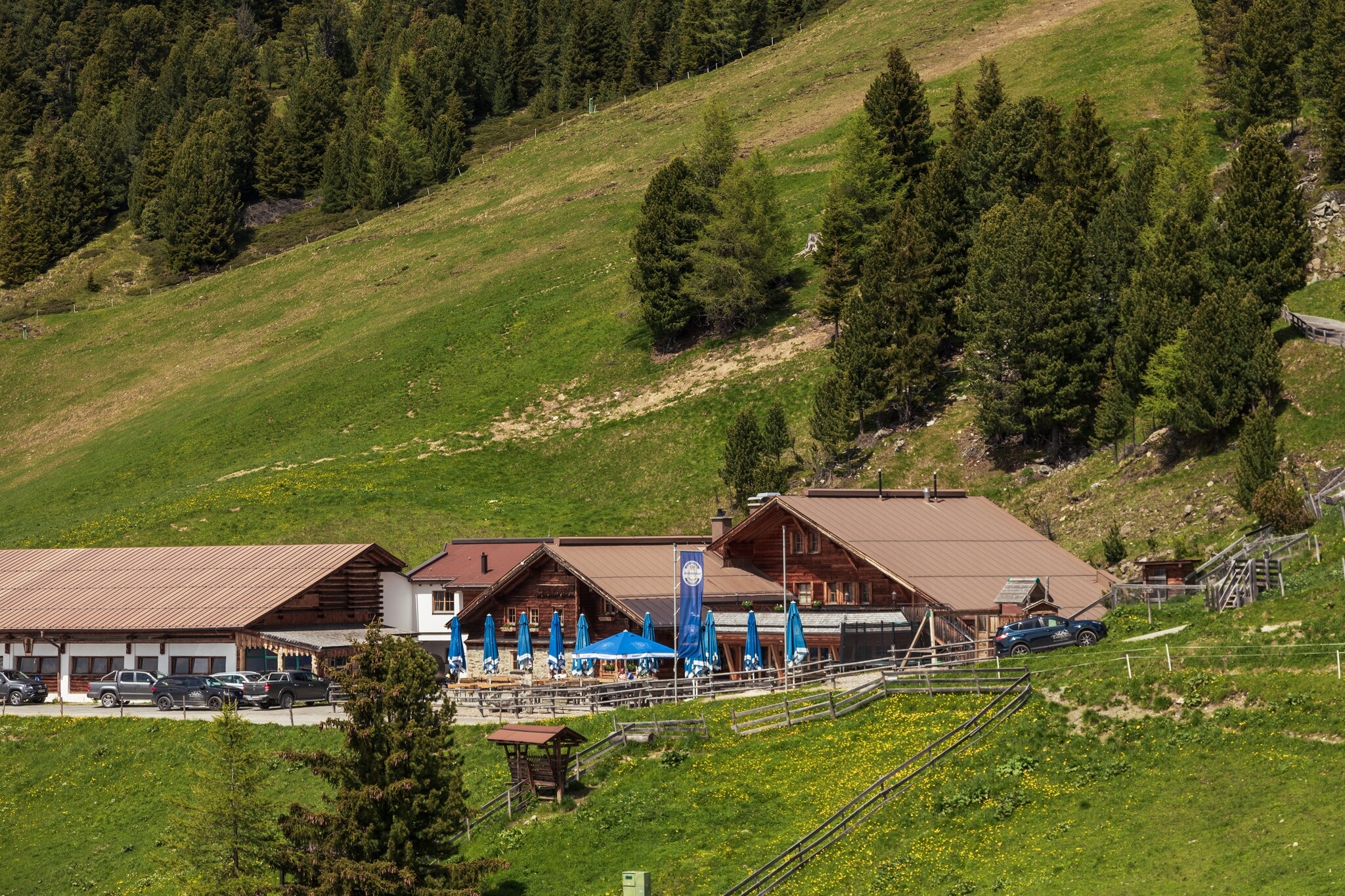 Tanzalm (1.980 m)