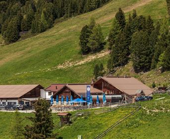 An Alpine-style inn with outdoor terraces and sun umbrellas. Surrounded by green meadows and tall fir trees.
