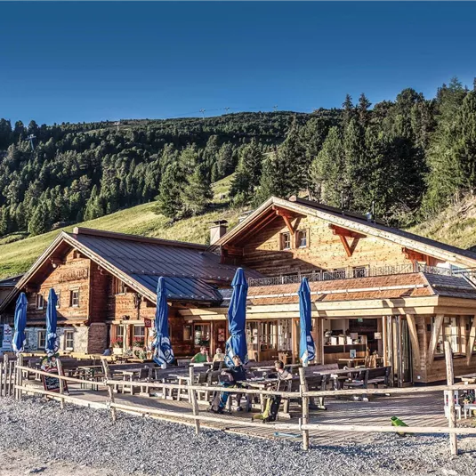 Tanzalm Sommer