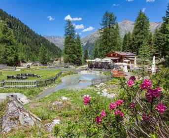Eine malerische Landschaft mit grünen Wiesen und hohen Bäumen. Im Hintergrund sieht man ein gemütliches Holzhaus und blühende Blumen im Vordergrund.