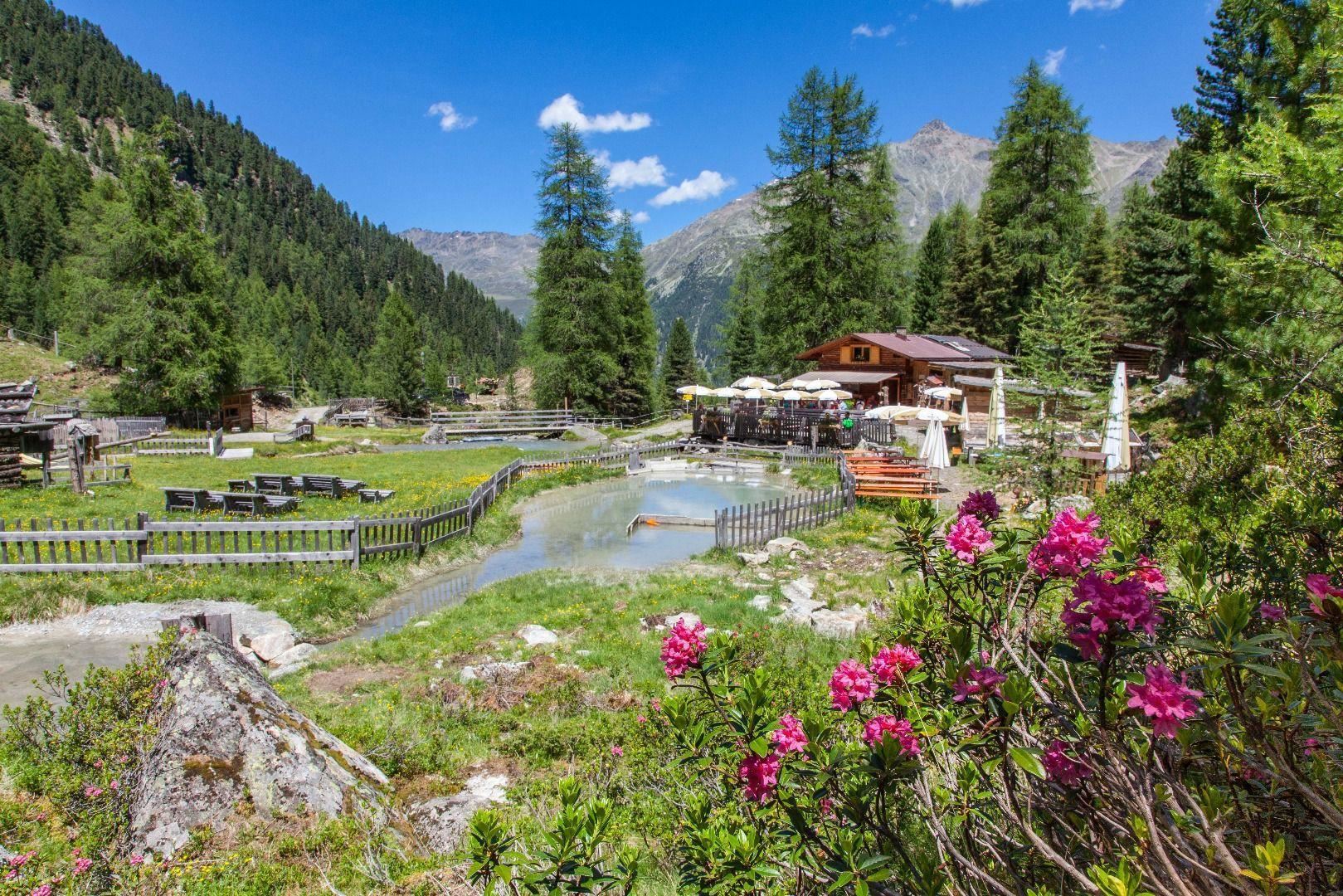 Eine malerische Landschaft mit grünen Wiesen und hohen Bäumen. Im Hintergrund sieht man ein gemütliches Holzhaus und blühende Blumen im Vordergrund.