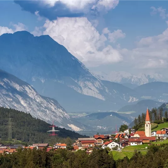 Wald in Arzl