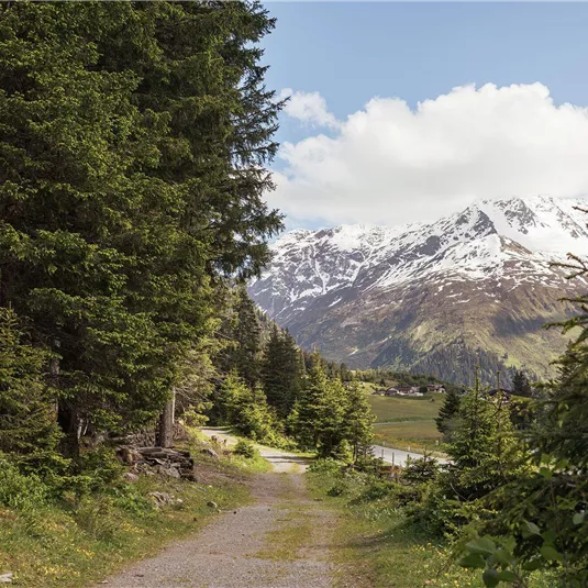 Waldspielplatz Gampenwald