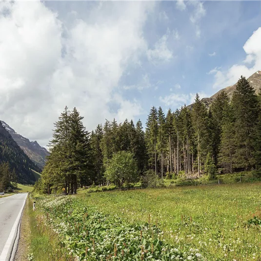 Waldspielplatz Gampenwald