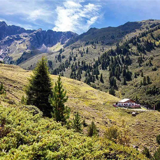 Eine malerische Berglandschaft mit grünen Wiesen und hohen Bergen. Im Vordergrund steht ein gemütliches Haus, umgeben von Bäumen.