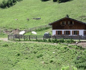 Ein idyllisches Alpenhaus umgeben von grünen Wiesen. Im Hintergrund sind ein paar Kühe und ein klarer Himmel zu sehen.