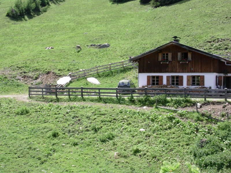 Vordere Wennerberg Alm (1.590 m)