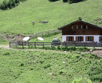 Wennerberg Alm