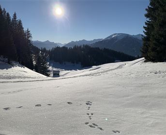 Eine schneebedeckte Landschaft mit Spuren im Schnee und hohen Bergen im Hintergrund. Die Sonne scheint hell am blauen Himmel.