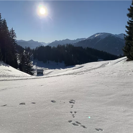 Winterwandern