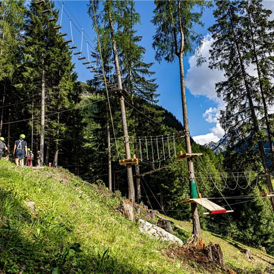 Ein Kletterpark im Wald mit mehreren Hindernissen in den Bäumen. Im Hintergrund sind hohe Tannen und ein blauer Himmel zu sehen.