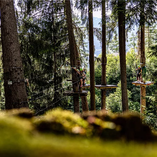 Ein Kletterpark im Wald, umgeben von hohen Bäumen. Personen sind auf hohen Plattformen in den Bäumen zu sehen.