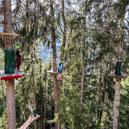 Drei Personen stehen in einem Hochseilgarten zwischen Bäumen. Sie tragen Sicherheitshelme und sind auf verschiedenen Plattformen in der Höhe.