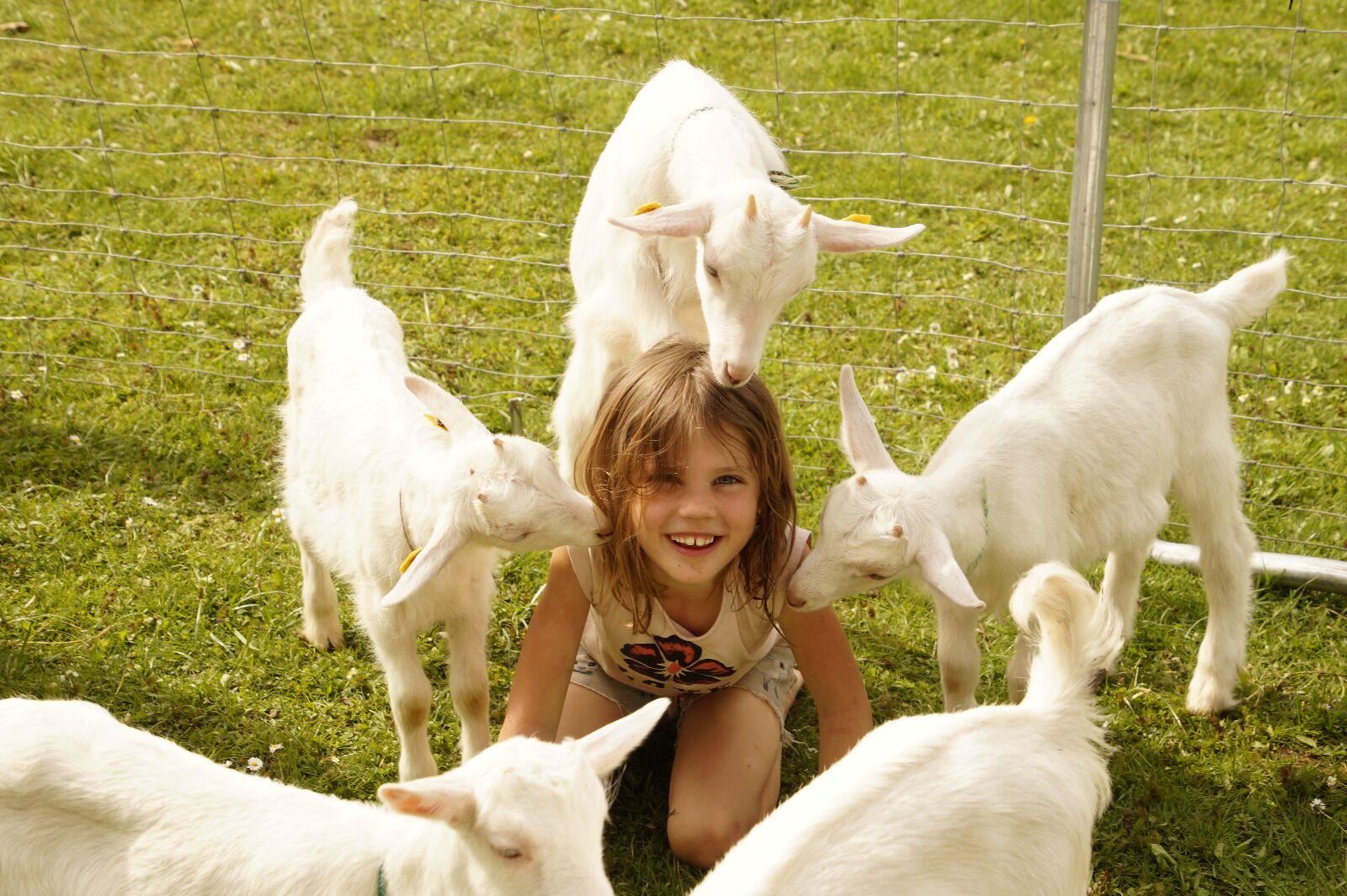 A smiling girl sits on the grass, surrounded by several small goats. The scene conveys joy and innocence in a rural setting.
