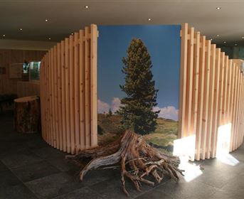 A modern reception area with wood paneling and a picture of a large tree. In the foreground, there is a wooden log that contributes to the natural atmosphere.