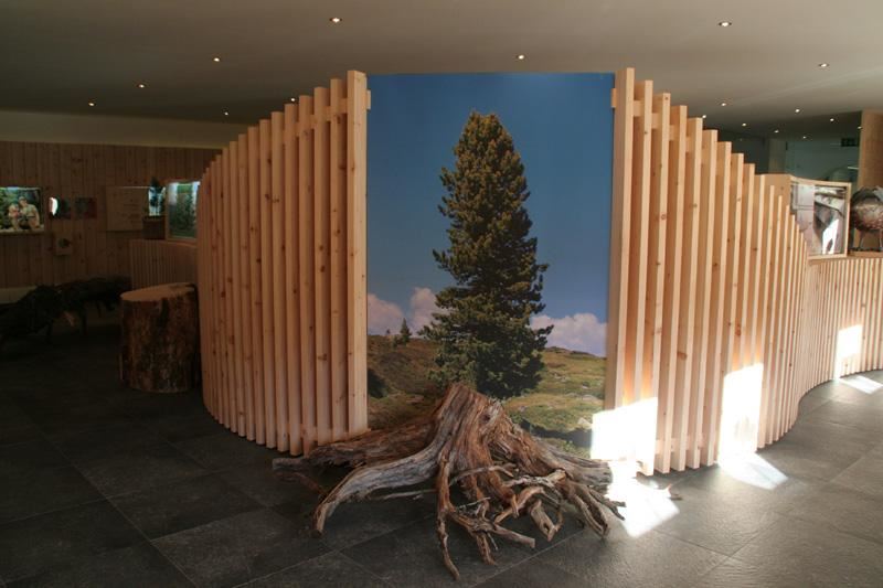 Ein moderner Innenraum mit Holzwänden und einem großen Baumfoto. Im Vordergrund befindet sich eine Wurzel, die als Dekoration dient.