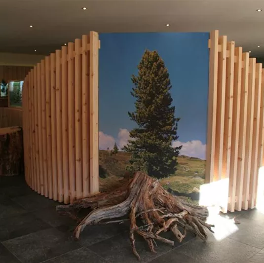 Ein moderner Innenraum mit Holzwänden und einem großen Baumfoto. Im Vordergrund befindet sich eine Wurzel, die als Dekoration dient.