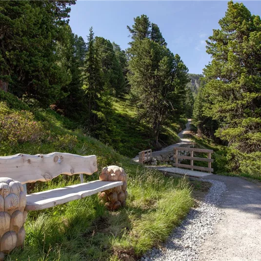 Eine Holzbank steht am Wegesrand in einer ruhigen Waldlandschaft. Der schmaler Pfad führt durch hohe, grüne Bäume und frisches Gras.