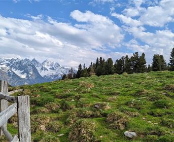 Aifner Alm