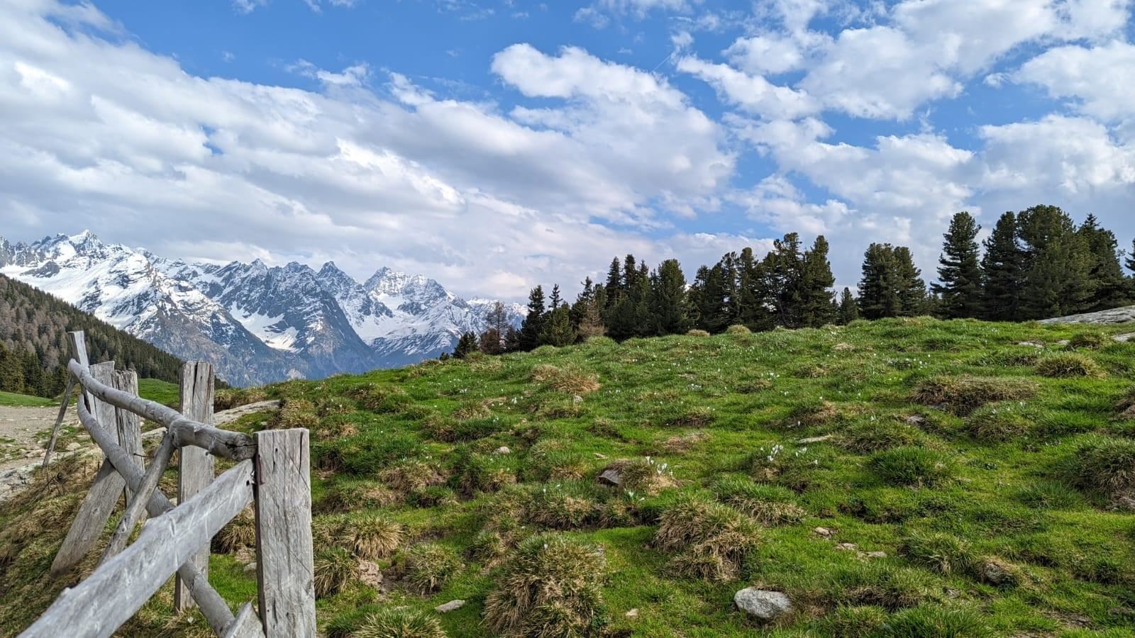 Aifner Alm