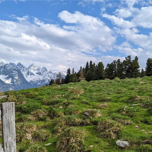 Aifner Alm