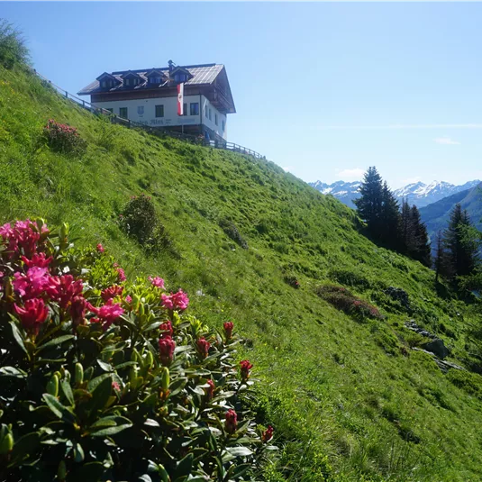 Ein schönes Haus auf einer grünen Wiese mit blühenden Rhododendren im Vordergrund. Im Hintergrund sind Berge und ein klarer blauer Himmel zu sehen.