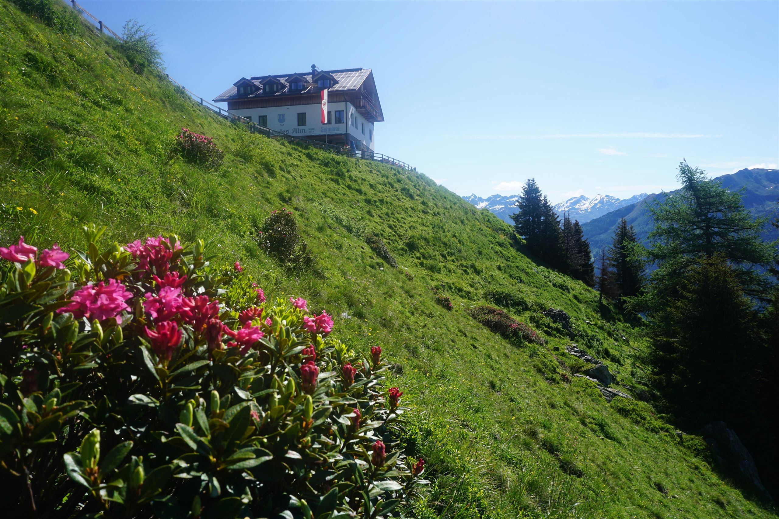 A picturesque house on a green mountain meadow, surrounded by colorful flowers. In the background, the majestic mountains and a blue sky can be seen.