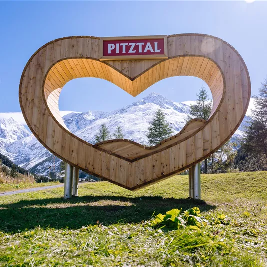 A large wooden house in the shape of a heart stands in a green meadow. In the background, snow-covered mountains and a blue sky can be seen.