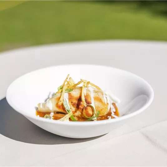 A white plate with a delicious dish, decorated with onions and a sauce. In the background, a green lawn is visible.