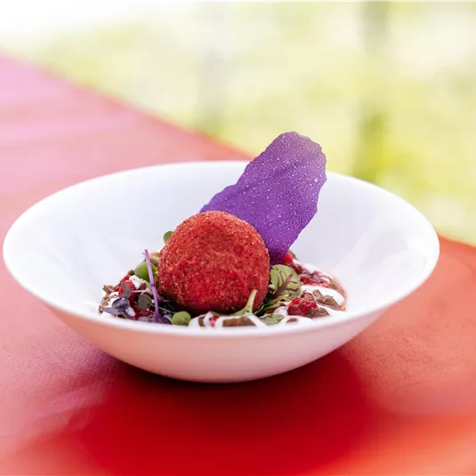 An elegant dish on a white plate. It consists of a round, red portion and a purple decoration, surrounded by fresh ingredients.