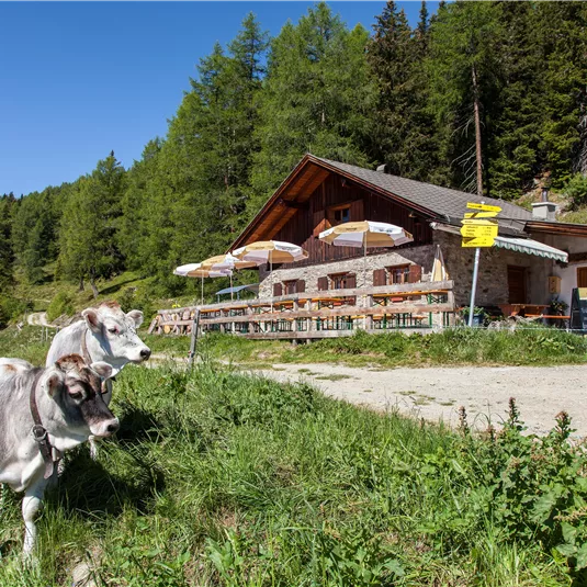 Eine gemütliche Almhütte aus Holz umgeben von grünen Wäldern. Tische im Freien laden zum Verweilen ein.