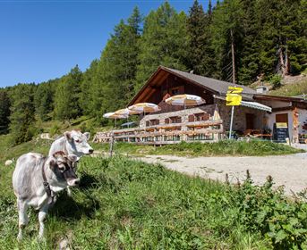 A cozy wooden mountain hut surrounded by green forests. Outdoor tables invite you to linger.
