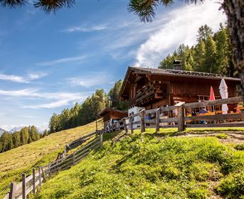 Leiner Alm