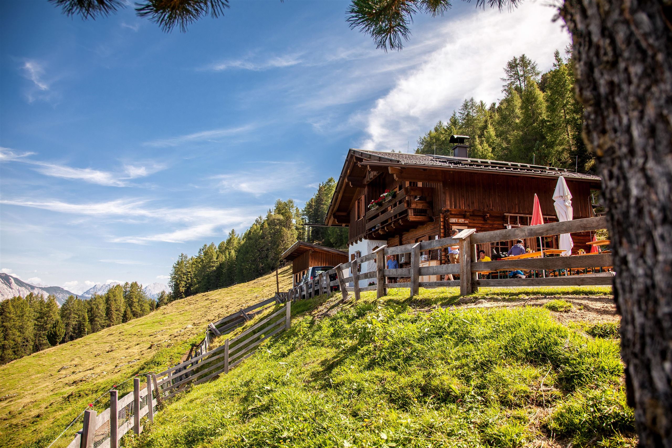 Leiner Alm