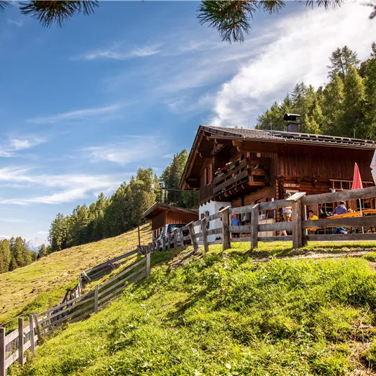 Leiner Alm