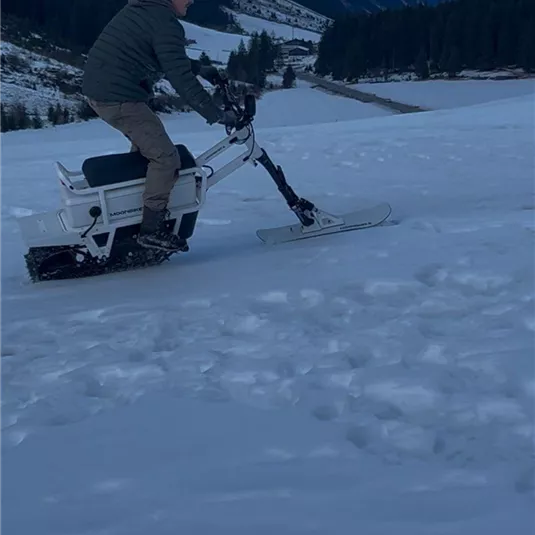 Ein Mann fährt auf einem Schneemobil durch verschneite Landschaften. Im Hintergrund sind Berge und Wälder zu sehen.