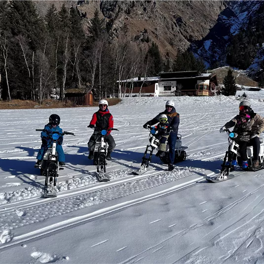 Eine Gruppe von vier Personen steht auf Schneemobilen im Schnee. Im Hintergrund sind Bäume und Berge sichtbar.