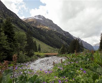 Eine malerische Gebirgslandschaft mit fließendem Wasser und blühenden Blumen im Vordergrund. Im Hintergrund erheben sich majestätische Berge unter einem bewölkten Himmel.