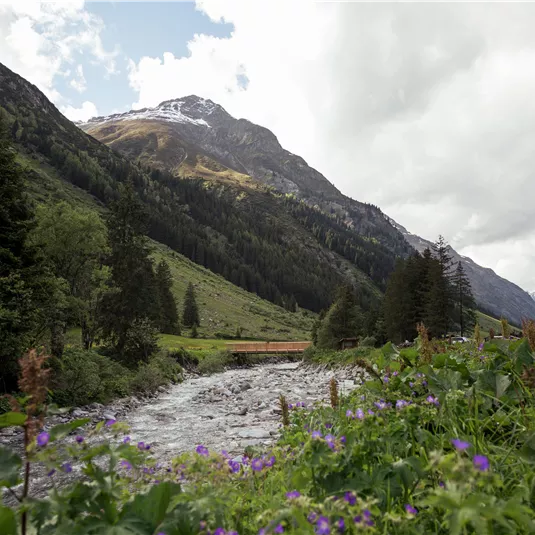 Eine malerische Gebirgslandschaft mit fließendem Wasser und blühenden Blumen im Vordergrund. Im Hintergrund erheben sich majestätische Berge unter einem bewölkten Himmel.