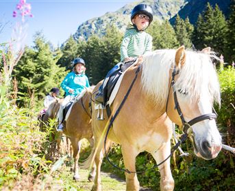 Kinder reiten auf Pferden durch einen schönen, sonnigen Waldweg. Umgeben von Bäumen und grüner Natur haben sie viel Spaß.